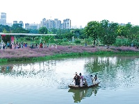 南寧園博園：游客沉醉“粉黛夢境”