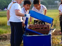 南寧市越秀路小學(xué)開展秋收實(shí)踐活動