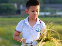 南寧市越秀路小學(xué)開展秋收實(shí)踐活動