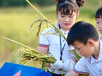 南寧市越秀路小學(xué)開展秋收實(shí)踐活動