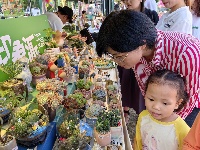 喝潮飲、寫詩(shī)句、逛市集……這周末青秀“有意思”