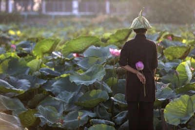 鏡觀世界｜河內(nèi)：在“百花春城”感受千年古城的生機(jī)