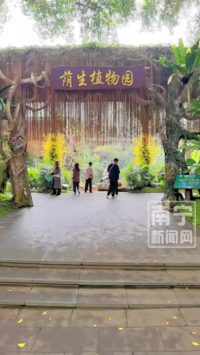 青秀山蔭生植物園，仿佛闖入?yún)擦窒删?。南寧新聞網(wǎng)主播帶你冬游秀美青秀山！快進(jìn)南寧新聞網(wǎng)視頻號(hào)、抖音號(hào)直播間吧→