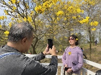  這個(gè)春天來南寧吧！一起去青秀山看浪漫花海