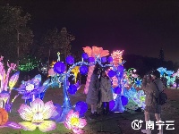 新春走基層｜亮燈了！2024年青秀山新春燈會(huì)呈現(xiàn)絕美景觀