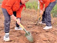 南寧市云景路小學(xué)恒心中隊(duì)植樹活動(dòng)