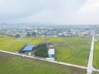 在賓陽縣古辣鎮(zhèn)，看成片油菜花海競相開放！