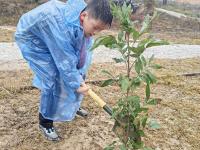 南寧市云景路小學恒心中隊植樹活動