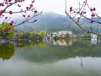 賓陽縣武嶺村：煙雨鄉(xiāng)村別樣景