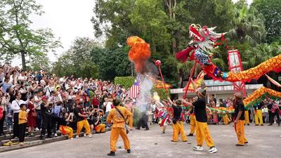 震撼登場！國內(nèi)外20條舞龍齊聚南寧南湖公園，龍年巡游“天花板”來了！