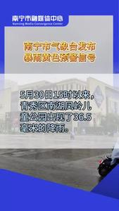 南寧市氣象臺30日18時15分發(fā)布暴雨黃色預(yù)警信號