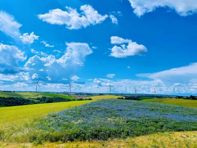 China, France set exemplary model of win-win cooperation in energy sector