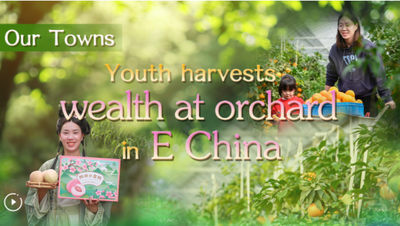 Our Towns | Youth harvests wealth at orchard in E China