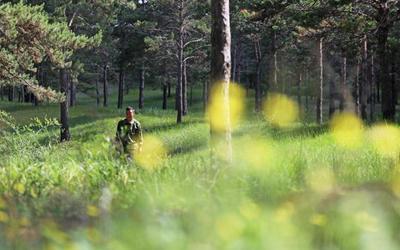 ChineseToday | Ranger guards forest for 37 years in NE China&#039;s Liaoning