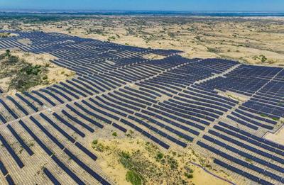 Innovation fortifies China&#039;s &quot;green Great Wall&quot; against desertification