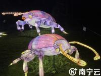 “南寧夜花園”開(kāi)門(mén)迎客  沉浸式夜游受歡迎