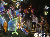 “南寧夜花園”開(kāi)門(mén)迎客  沉浸式夜游受歡迎