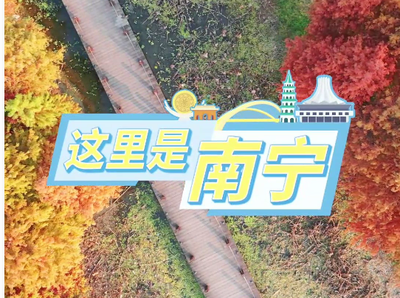 南寧這個小眾公園落羽杉美得像畫！