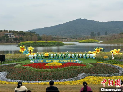 廣西南寧青秀山首屆黃花風(fēng)鈴旅游季啟幕