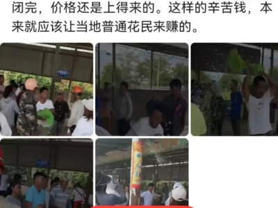 橫州花農(nóng)倒花不賣，系謠言！