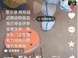 網(wǎng)傳“河南省桐柏縣近期動(dòng)物吸血蟲奪去許多寶貴生命”為謠言