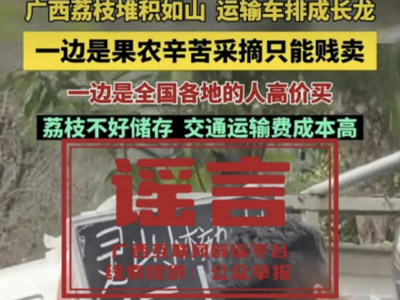 “廣西靈山荔枝堆積如山，只能賤賣”？真相是......