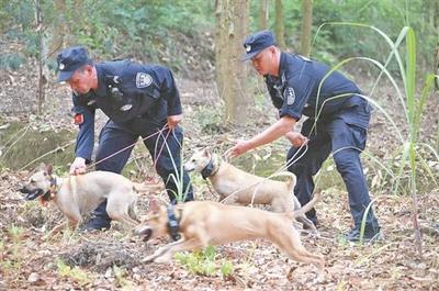 ?廣西山地犬“從警記”