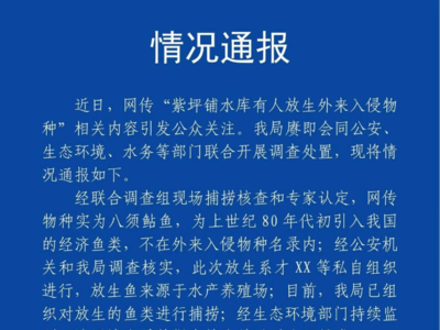 都江堰紫坪铺水库有人非法放生外来入侵物种？