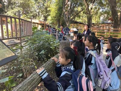 南宁市青秀区长塘镇中心学校开展2025年秋季学期校外综合实践活动