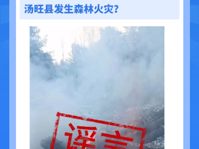 黑龙江一地发生森林火灾？当地回应