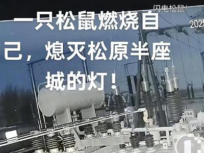 一只松鼠导致吉林松原“半城”停电？官方回应
