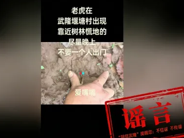 网传“重庆武隆堰塘村出现老虎”系不实信息