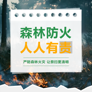 严防森林火灾 让祭扫更清明