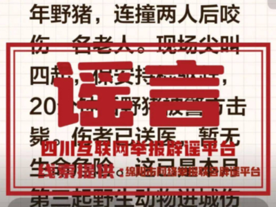 网传北川某小区野猪伤人事件为不实信息