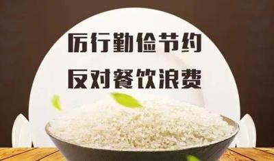 中国反食品浪费法