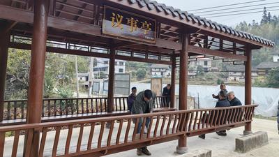 广西福彩中心持续打造“民政福彩文化园”乡村振兴帮扶点