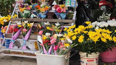 宝视频 | 一束鲜花寄哀思  文明祭扫让清明更“清明”
