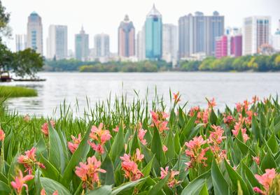 遇见是缘  缘来是朋友——读叶健先生《遇见》有感