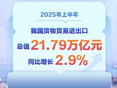 增长2.9%，2025年中国外贸半年报出炉