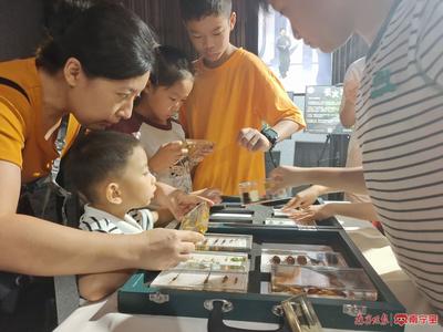 萤火虫“飞”进图书馆   微课堂探秘萤火之光
