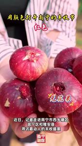 五彩邕城·丰收画卷 | “红火”南宁 “丰”景如画