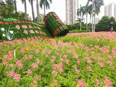 诗情画意 | 重阳满春色