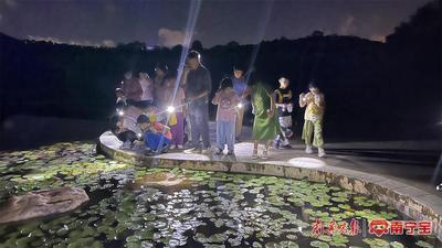 手电筒照见的惊喜：小记者青秀山夜探记