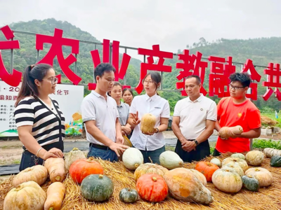 “00后”新农人勇闯“南瓜”创业路