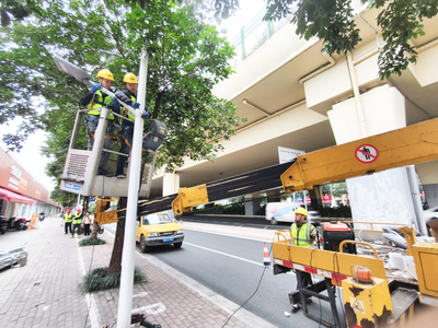 巧解“树灯矛盾” 街道夜晚也亮堂